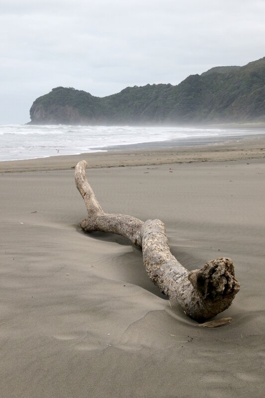4W7A6780 Piha
