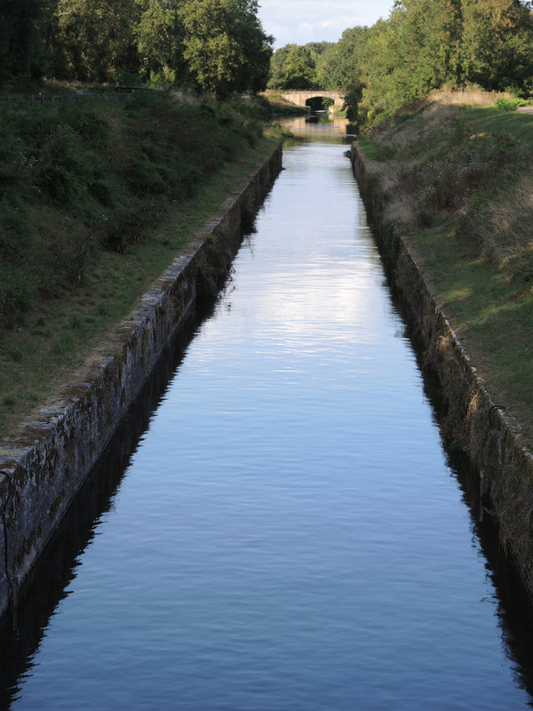 Apremont-sur-Allier, canal latéral à l'Allier (18)