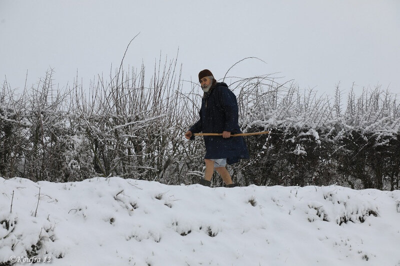 Photos JMP©Koufra 12 - Cornus - Neige - 28012019 - 0118