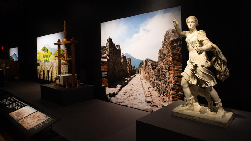 exposition-pompei-musee-civilisation-quebec-visite-media-83667