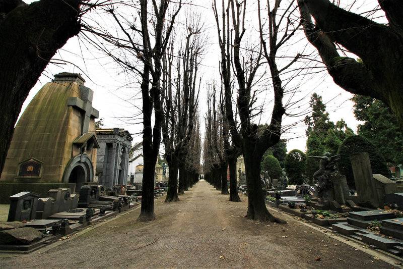 cimetière milan janvier 2016 (50)