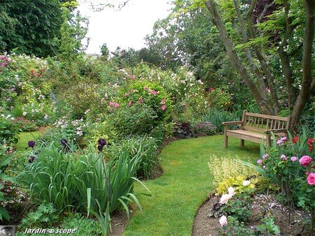 Jardin privé du rosiériste André EVE