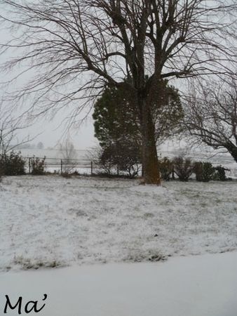 130223_jardin
