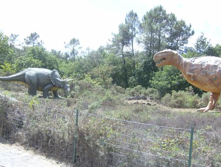 jeudi_29_juillet___Malansac___Parc_de_la_Pr_histoire_018