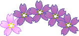1222808938_lijn-bloemen-paars
