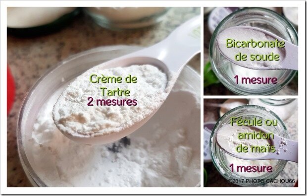 LEVURE CHIMIQUE SANS GLUTEN