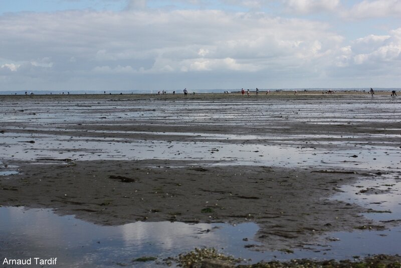 002041 Noirmoutier Juin 2020 - L'Ile de Noirmoutier - Le Passage du Gois