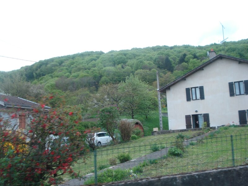 DSC06571