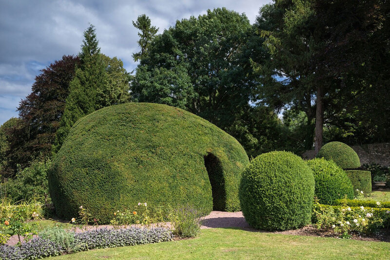 If-grotte • Taxus baccata