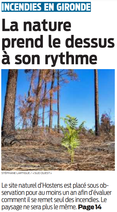 2022 09 26 SO La nature prend le dessus à son rythme