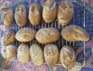 recettes legumes Petits pains aux graines au levain + levure