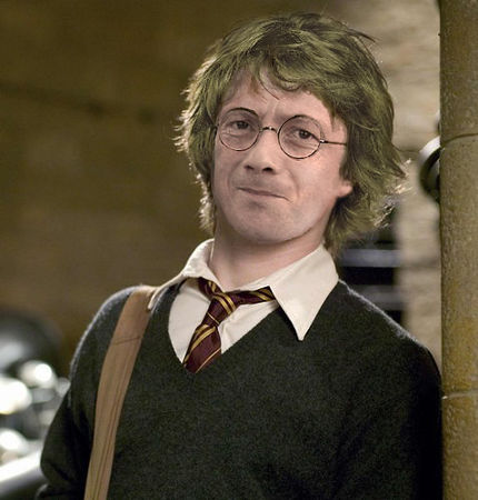 harry_potelfe