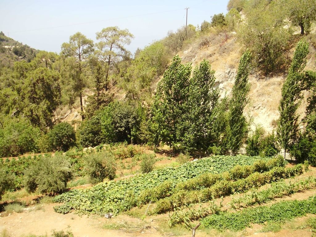 P7290102