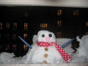 Photo_65012