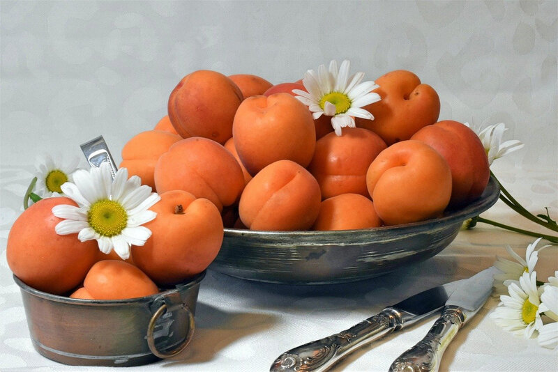 apricots-4219819_1280