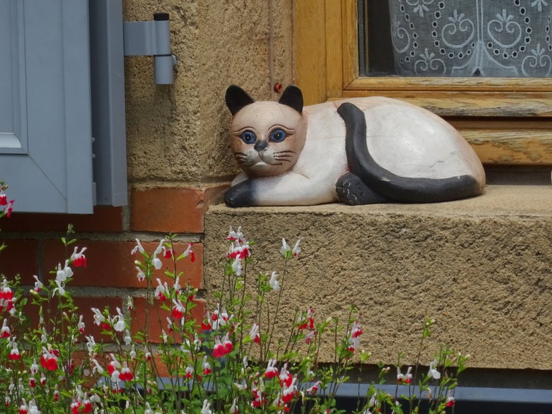 chat à sa fenêtre bois peint 300 K°