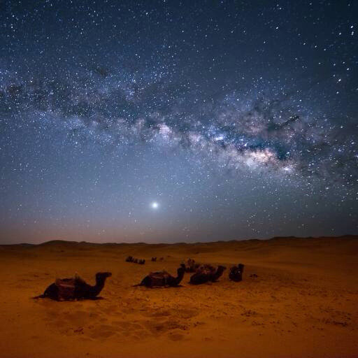 image-MILKY-WAY_1877