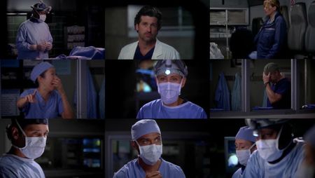 greys809