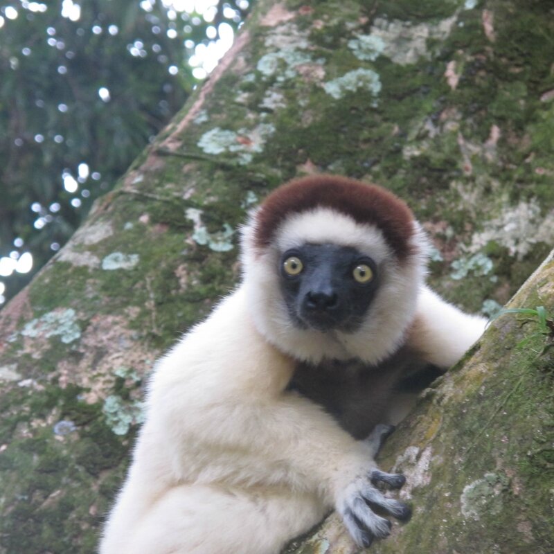Madagascar novembre 2013 152
