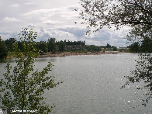 L'Ile Charlemagne (Rive Gauche)