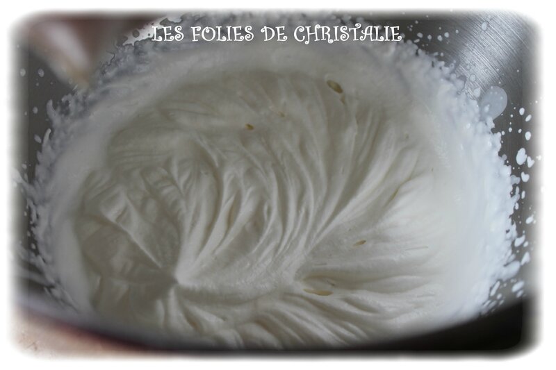 Arlequin 23