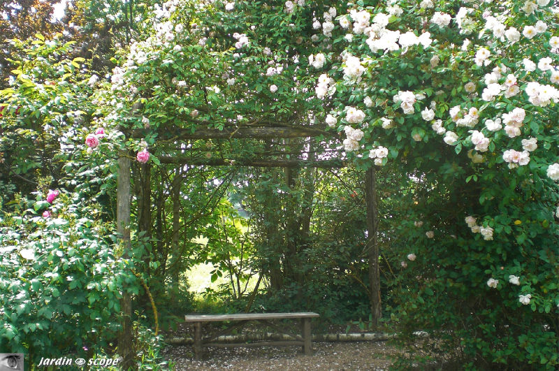 Jardins de Roquelin - 45 Meung sur Loire