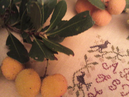 Photo0482