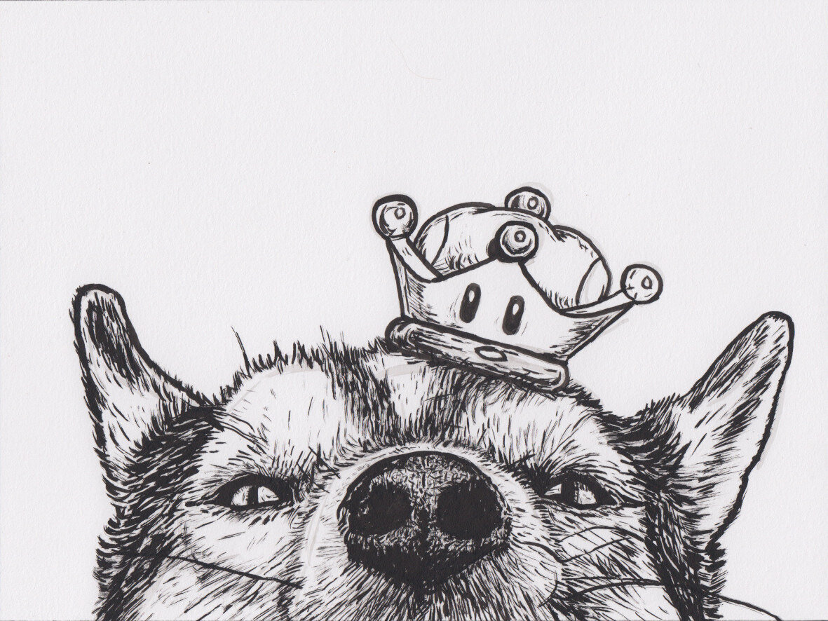 Marioctober 6 husky