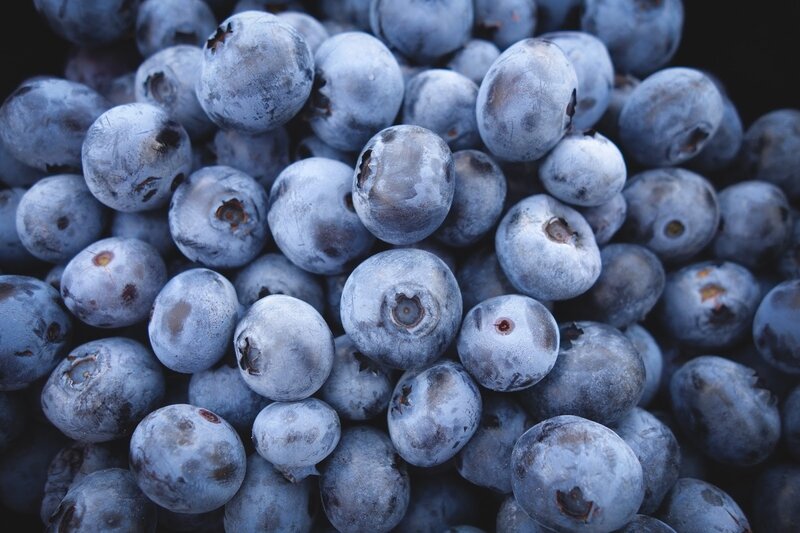 blueberries-690072.jpg