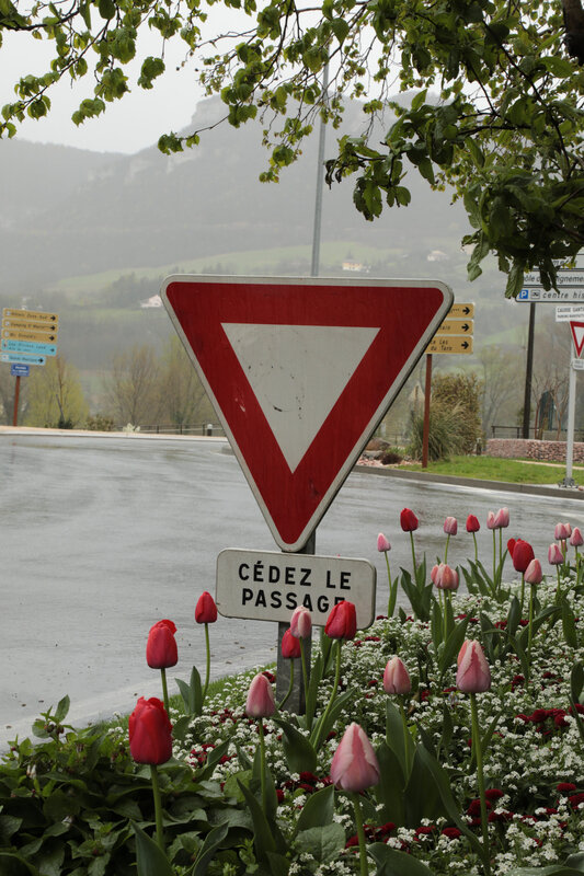 Photos JMP©Koufra 12 - Millau - 11042018 - 060