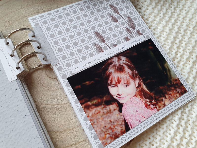 Album Intemporelle 24