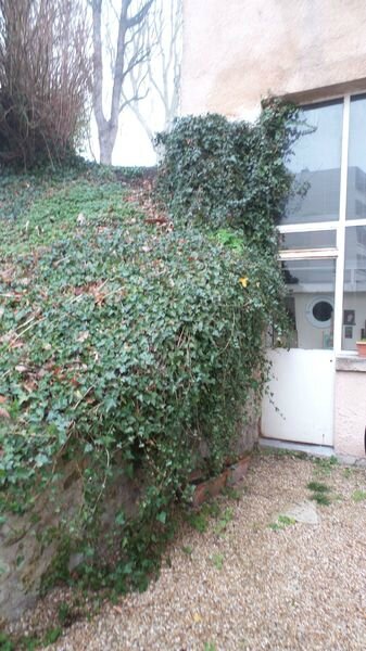 cote-jardin-5_5189623