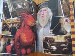 Agendas Harry Potter (2)
