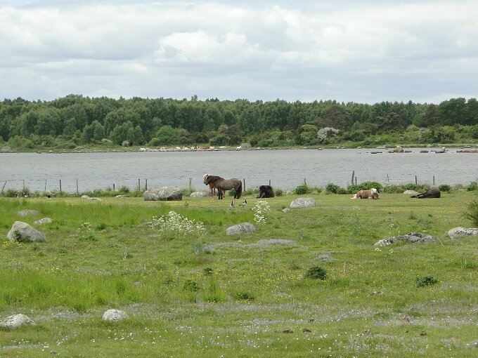 presqu'île de Tosteberga