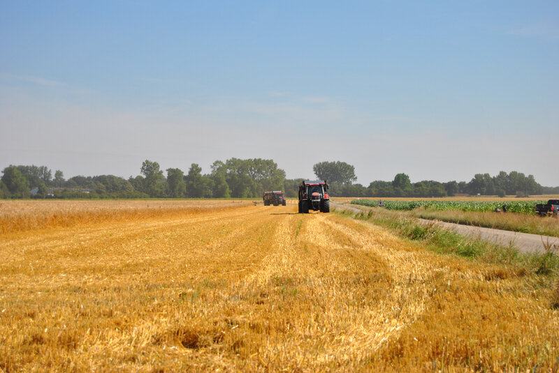 baromesnil moisson ledoux 16-07-2019 001 (30)