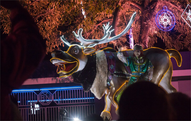 J11 CR San Jose fete nuit 1 151218 ym 27 char renne