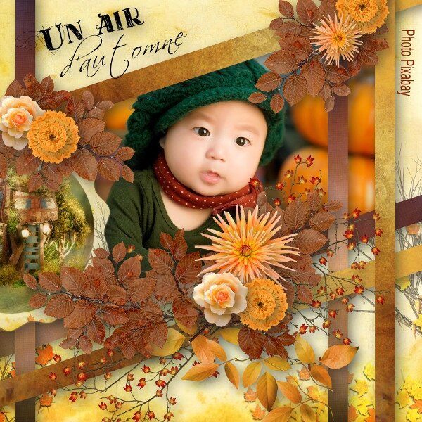 template - PACK 10 - kit de Louise Songe d'automne - photo Pixabay