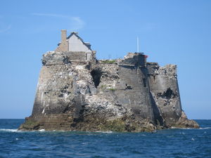 Photo_003
