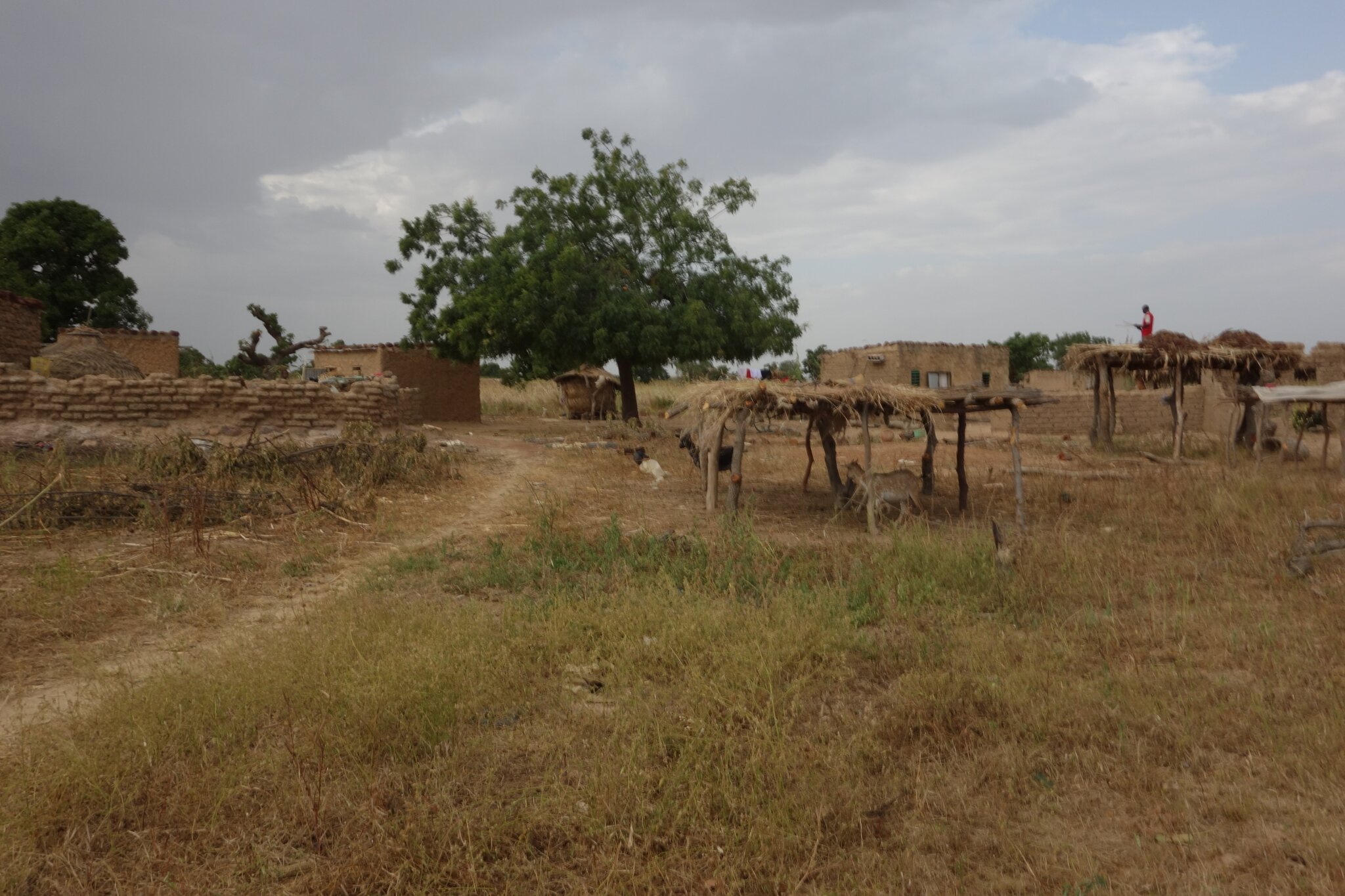 Visite des alentours
