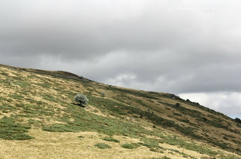 Col du Prat de Bouc 1