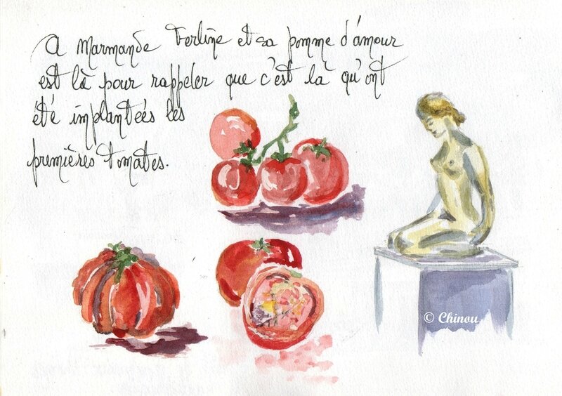 Tomate