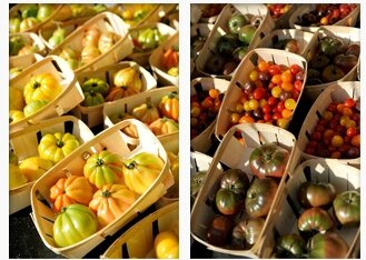 actu_tomate_06