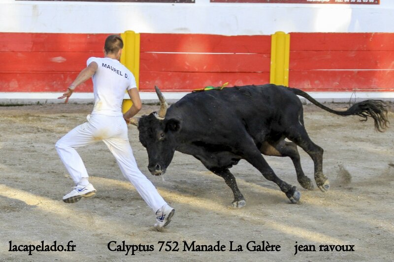 77 - photos finale des charetiers a rognonas le 21 09 201420140923006957