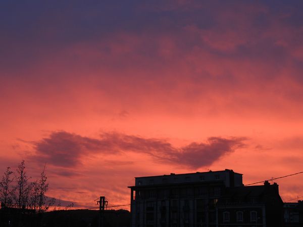 DSCN0597