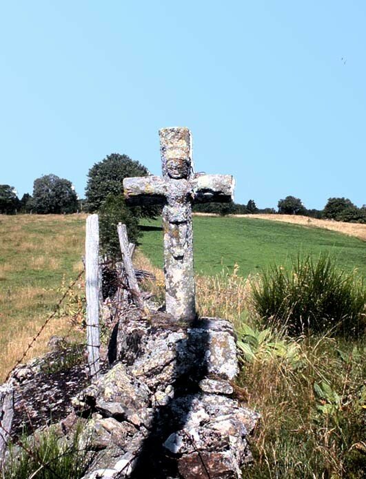 AA