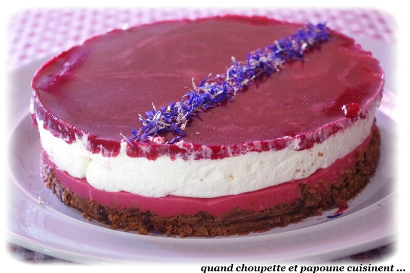 bavarois fruits rouges mousse chocolat blanc-7174