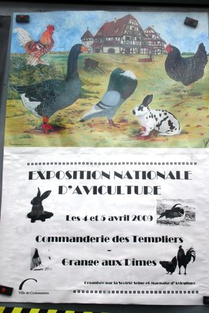 Expo_commanderie_des_Templiers_Francis_Dechy_vendredi_27_mars_2009