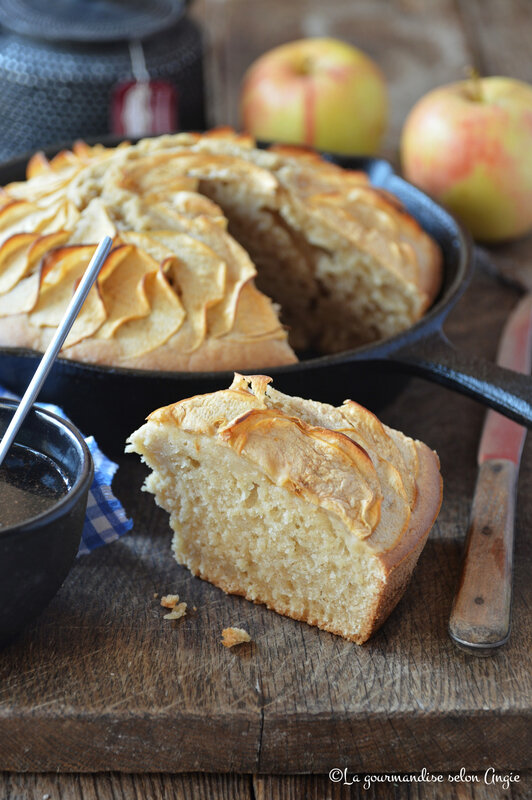 gâteau rustique aux pommes vanille vegan sans oeuf sans lactose (1)