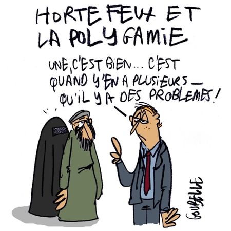 polygamie_hortefeux_REDUIT