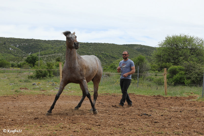 Photos JMP©Koufra 12 -La Vacquerie - El Rancho - 23052021 - 0477